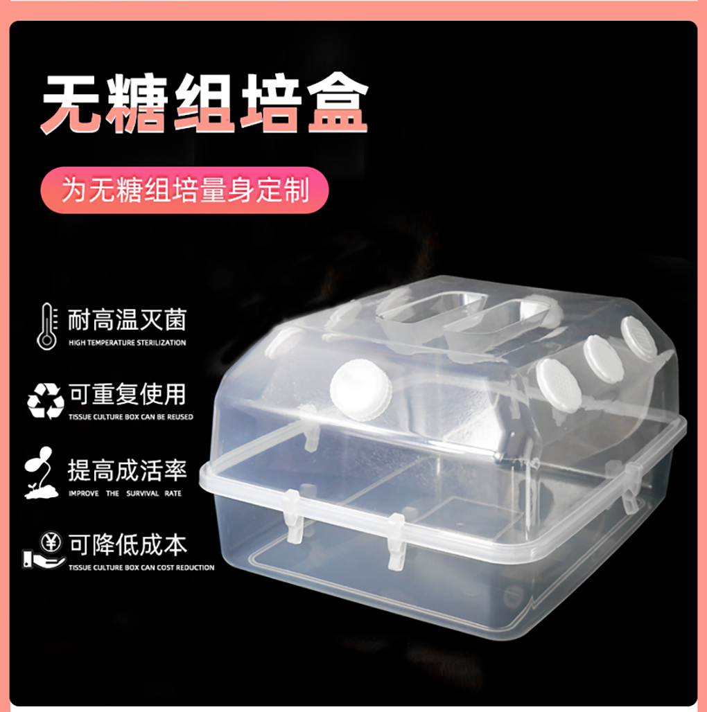 無(wú)糖培養(yǎng)盒_06.jpg