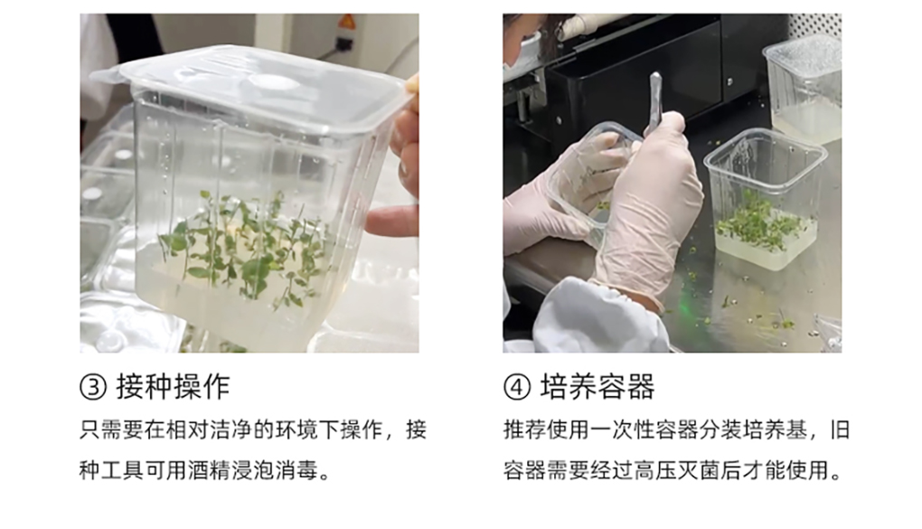 植培凈詳情頁(yè)_06.jpg