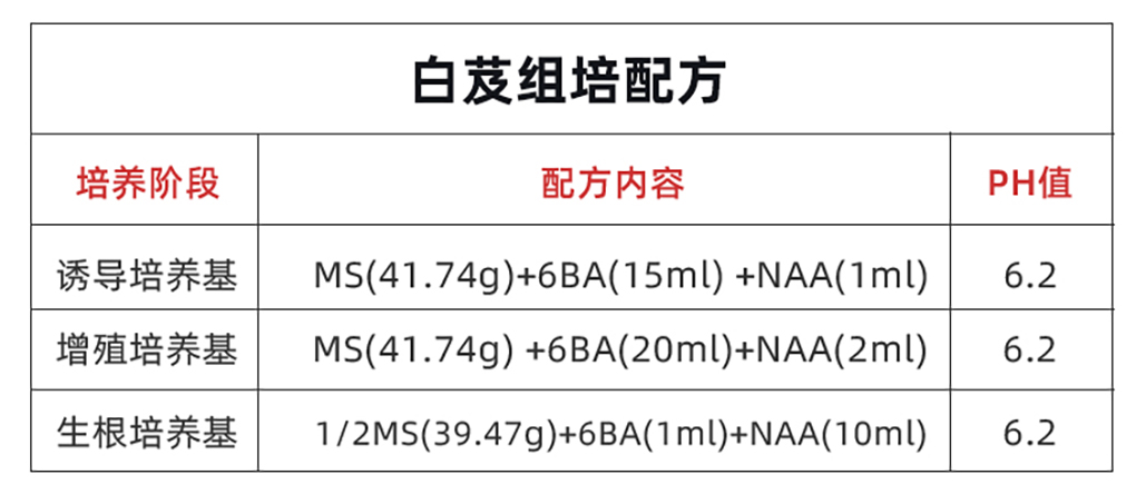 試劑盒_08.jpg