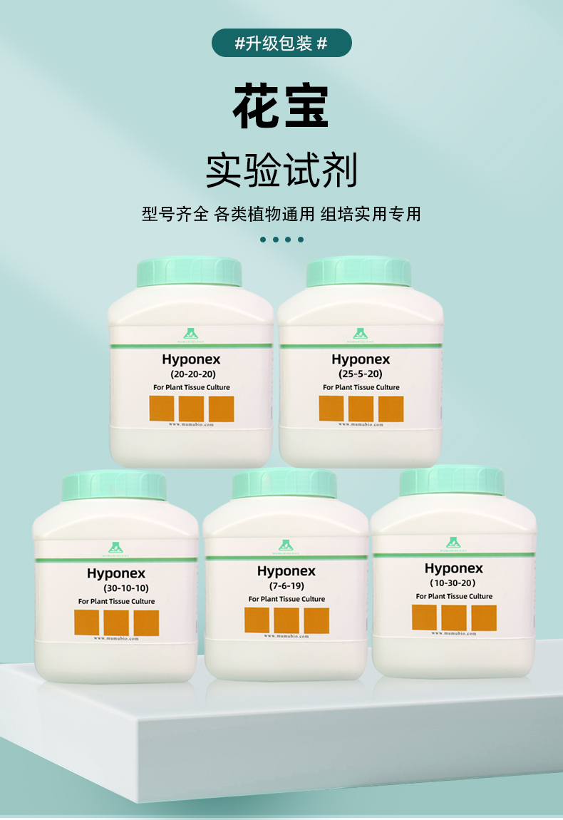 花寶組培_01.jpg