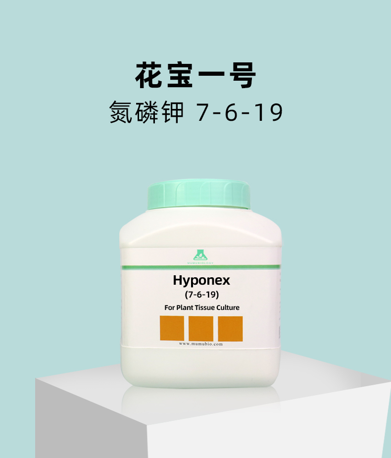 花寶組培_03.jpg