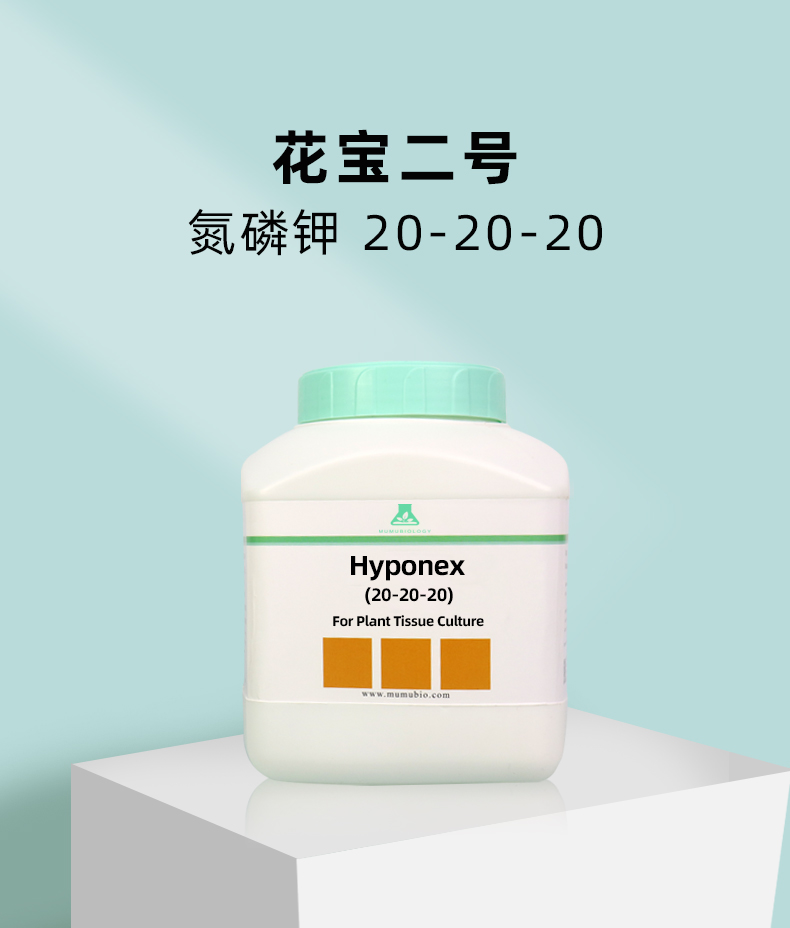 花寶組培_04.jpg