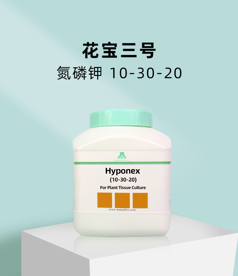 花寶組培_05.jpg