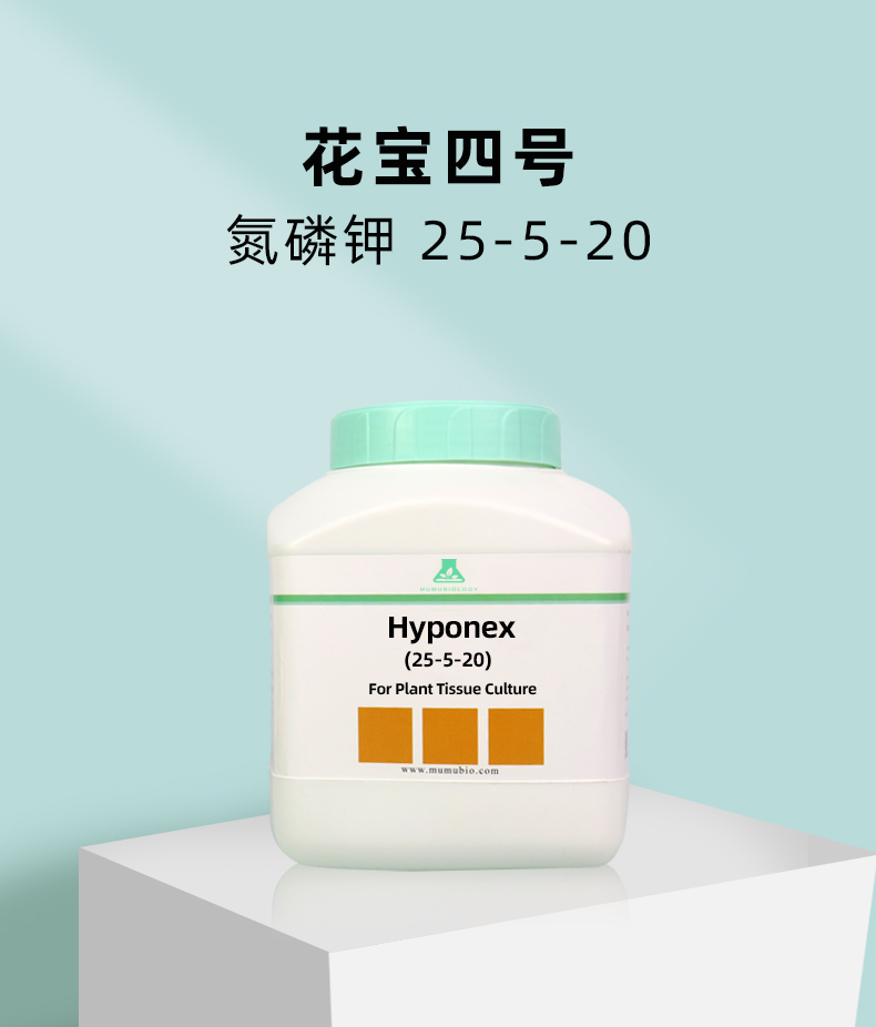 花寶組培_06.jpg